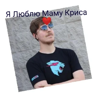 Стикер Мистер бист - 1