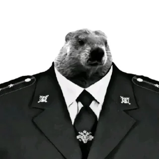 Стикер Мисятя миряня😈😈😈😈😈 - 0