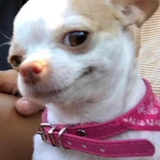 Sticker Mit_Stick - 1