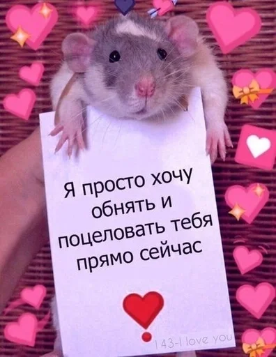 Стикер Люблю рыб♡˖ :: @fStikBot - 8