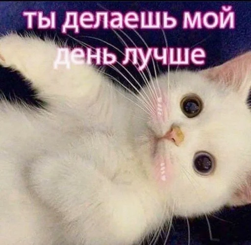 Стикер Люблю рыб♡˖ :: @fStikBot - 2