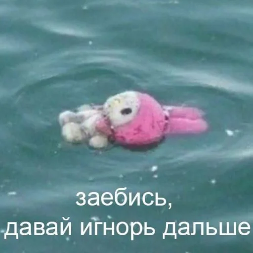 СМС Вода игрушка