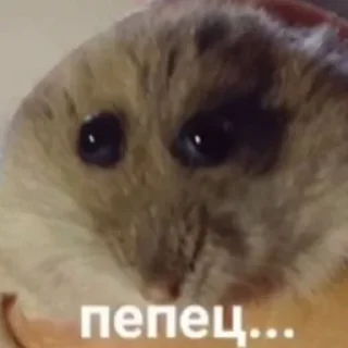 Стикер Мм хуета - 7