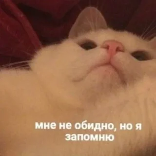 Стикер Мм хуета - 6