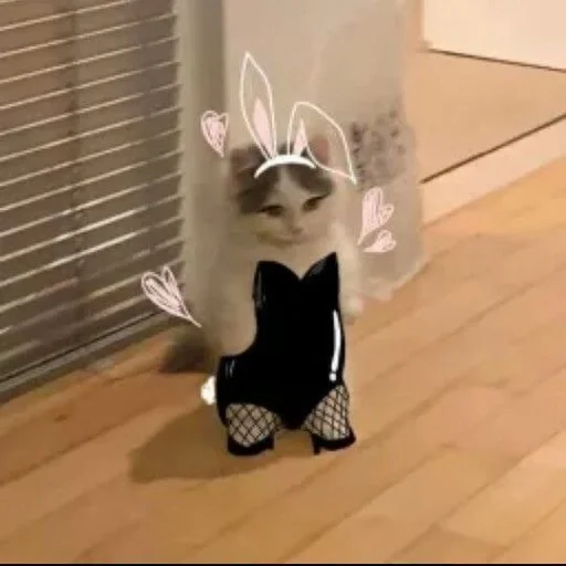 Ммм. ~🖇 :: @fStikBot - anime