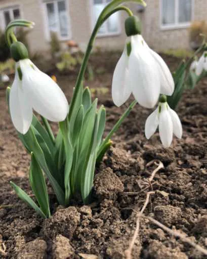 Стикер 2 рубля и я твоя💕 - 2