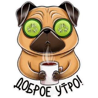 Стикер Мопс - 0