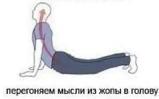 Стикер MmxjHoBwfmCTUe_by_stickers_stealer_bot - 1