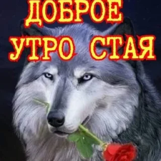 Sticker @mneneskem Стас Стасыч - 2