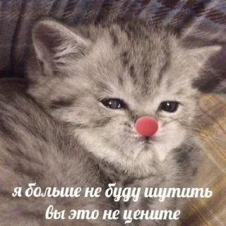 Sticker @mneneskem Стас Стасыч - 9