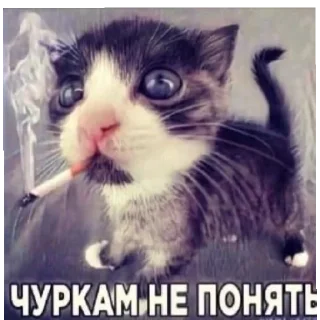 Sticker @mneneskem Стас Стасыч - 4