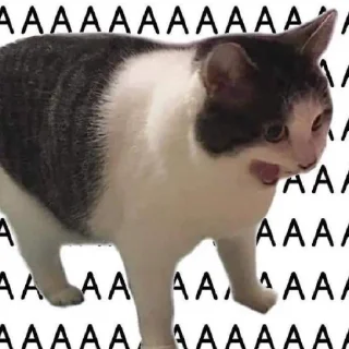 Sticker @mneneskem Стас Стасыч - 10