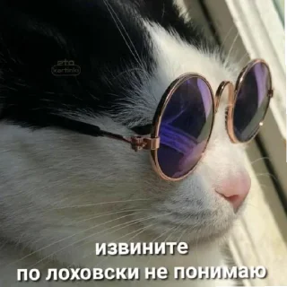 Sticker @mneneskem Стас Стасыч - 0