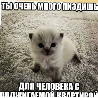 Sticker @mneneskem Стас Стасыч - 6