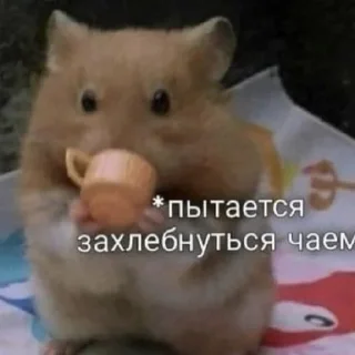 Sticker @mneneskem Стас Стасыч - 5