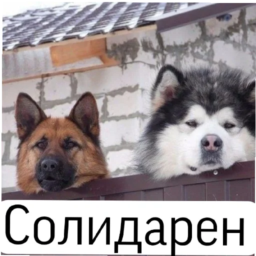 Sticker Мнение? - 6