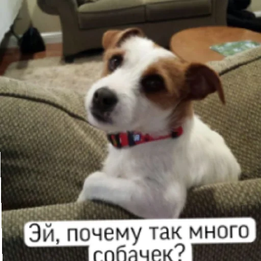 Sticker Мнение? - 1