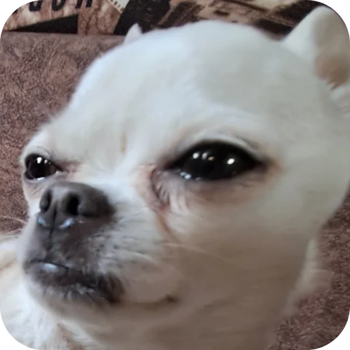 Стикер Mnenie75 - 1