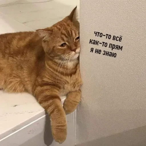 Sticker MneniyeVAnuseDerji - 1