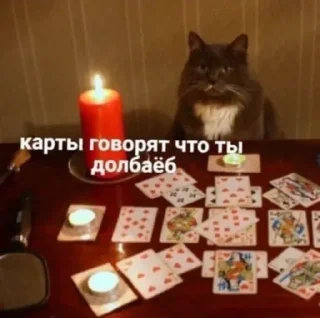 Стикер конфуций - 10