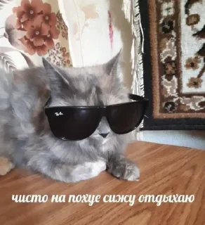 Стикер конфуций - 3