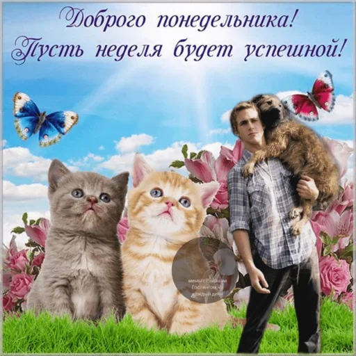 Больше стикеров 👉🏻 @stickertg4 - 