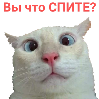 Sticker Бумер - 6