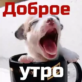 Стикер Mnq_Fo2tDe - 2