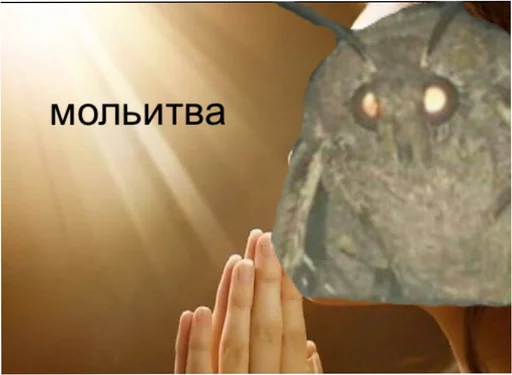 Sticker MoDaoZuMol - 1