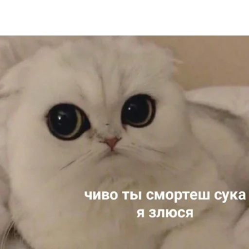 Стикер Можлочок Потiк - 10