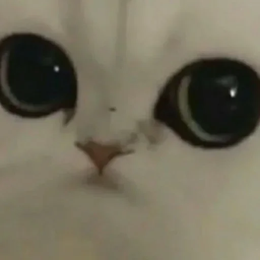 Стикер Можлочок Потiк - 9