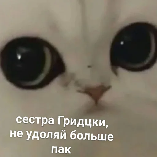 Стикер Можлочок Потiк - 8