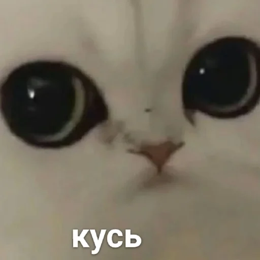 Стикер Можлочок Потiк - 7