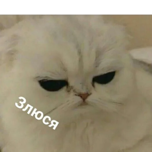 Стикер Можлочок Потiк - 6