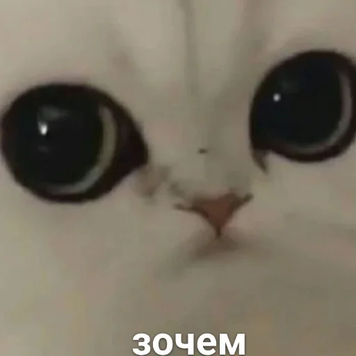 Стикер Можлочок Потiк - 4