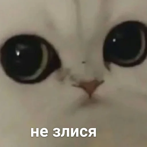 Стикер Можлочок Потiк - 2