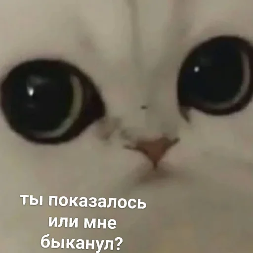 Стикер Можлочок Потiк - 1