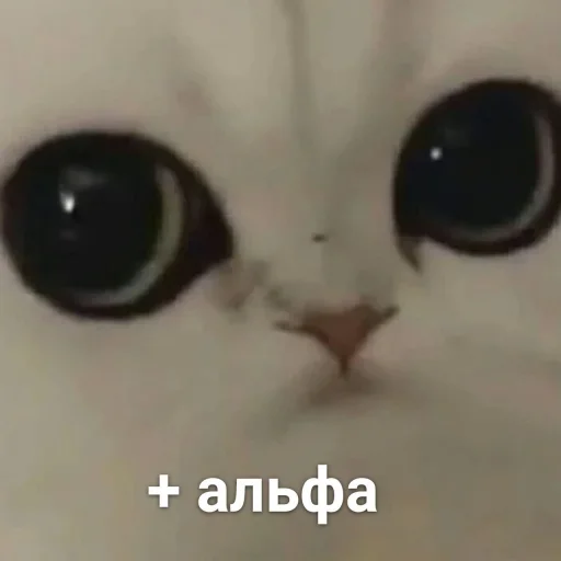 Стикер Можлочок Потiк - 0