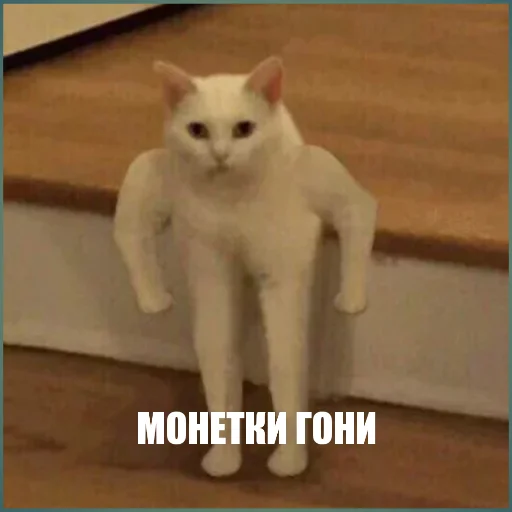 Стикер Mo_on - 1