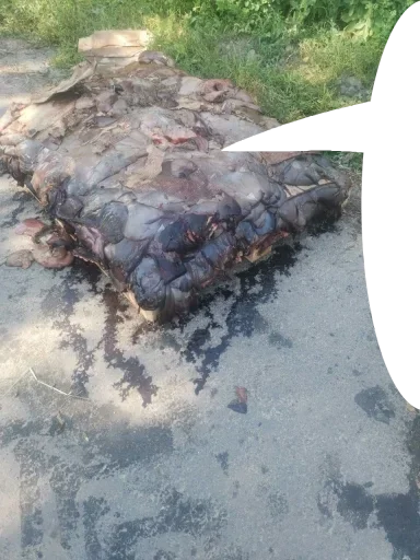 Sticker Mobiks_Cube - 1