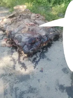 Стикер Mobik's Cube by @ukr_pics - 0