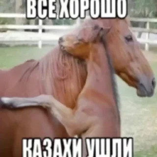 Sticker Моборофлы - 6