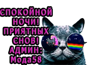 Стикер Modniy58 - 3