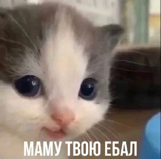 Стикер @HqlkModding - 1