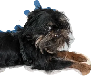 Стикер Mohnoorka - 7