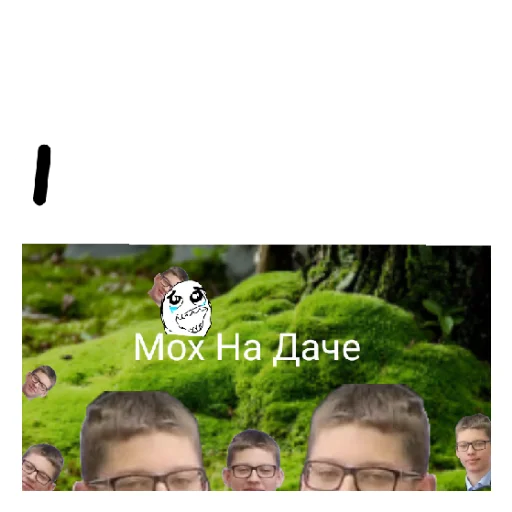 Моховитый мох - 