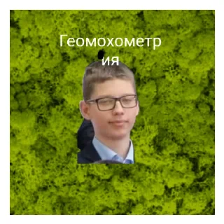 Sticker Моховитый мох - 4