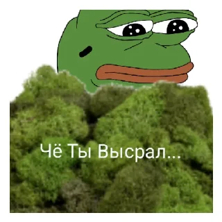 Sticker Моховитый мох - 5