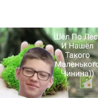 Sticker Моховитый мох - 7