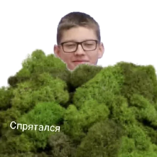 Sticker Моховитый мох - 1